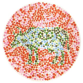 上图，正常看应是一幅“牛”的图案，如看到的是一头“鹿”，就有可能是色盲或色弱。