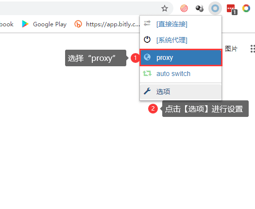 Chrome 手动代理设置 HTTP/Socks5-3