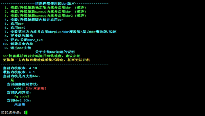 Xray教程 VLESS + XTLS Xray 服务器安装使用详解