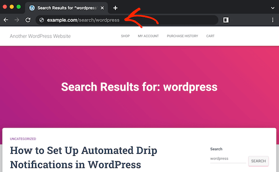 更改 WordPress 中默认搜索地址的 URL-8